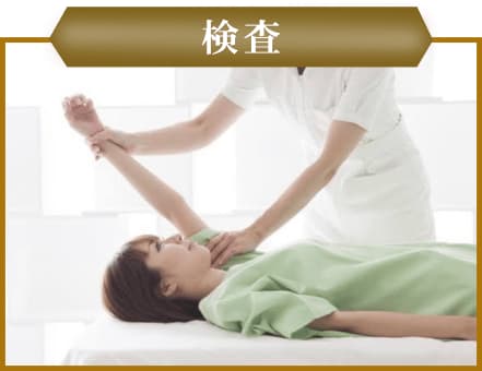 身体の状態を検査 身体の状態を検査