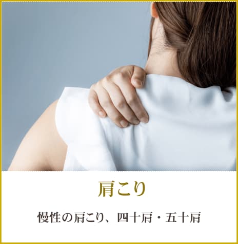 画像の説明 画像の説明