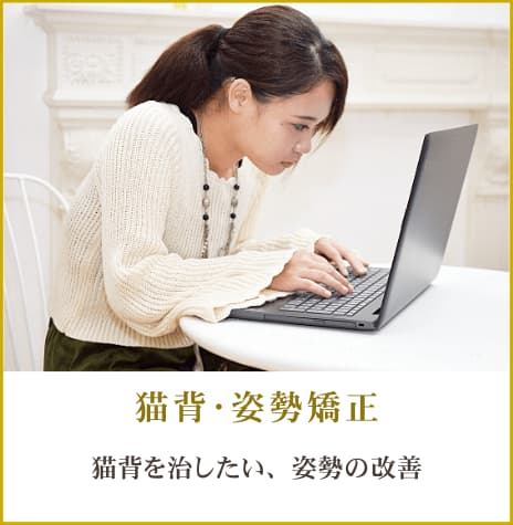 画像の説明 画像の説明