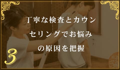 画像の説明 画像の説明